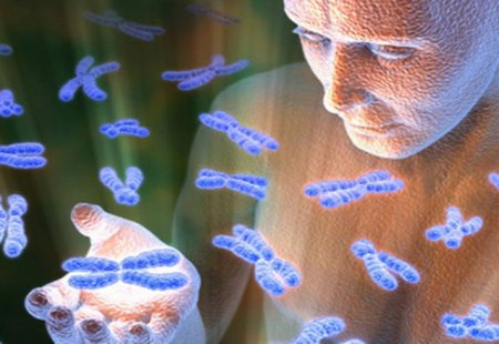 Ученым удалось открыть ген бессмертия