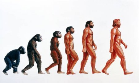 Представления Дарвина и происхождения человека ошибочны