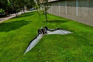 Американские учёные создадут робота, который летает, как летучая мышь
